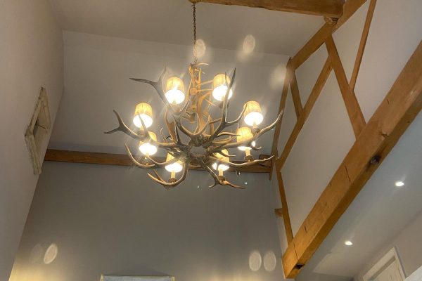 112973182_1340953216110047_1555177057419718296_n